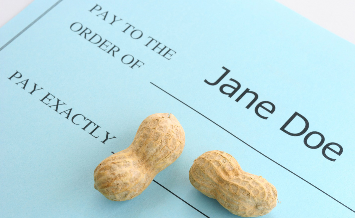 Make to the order of Jane Doe. Pay exactly (peanuts  on the blank line of the check)