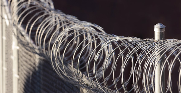 Barbed Wire