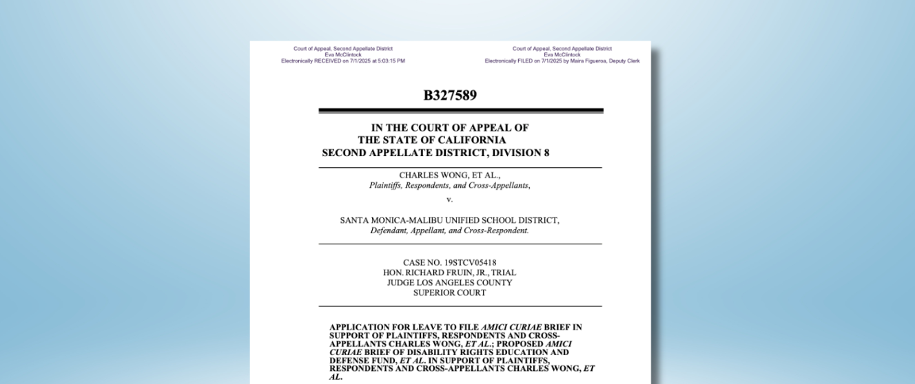 Screenshot of amicus brief