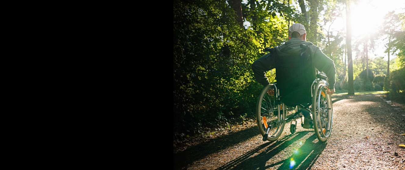 Above, a wheelchair user travels along a tree-lined path in a public park as sunlight filters through the surrounding trees.